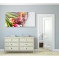 WANDBILD BLUMENSTRAUSS AUS BUNTEN TULPEN - BILDER BLUMEN - BILDER