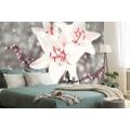 WALL MURAL THE SECRET OF THE LILY - WALLPAPERS FLOWERS - WALLPAPERS