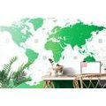SELF ADHESIVE WALLPAPER WORLD MAP WITH INDIVIDUAL STATES IN GREEN - SELF-ADHESIVE WALLPAPERS - WALLPAPERS