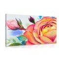 WANDBILD ROSEN IN ROSA - BILDER BLUMEN - BILDER