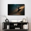 WANDBILD BALLERINA IM RAMPENLICHT - WANDBILDER FRAUEN - BILDER
