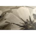 CANVAS PRINT GARDEN FLOWERS IN SEPIA DESIGN - BLACK AND WHITE PICTURES - PICTURES