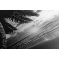 CANVAS PRINT SUNRISE ON A CARIBBEAN BEACH IN BLACK AND WHITE - BLACK AND WHITE PICTURES - PICTURES