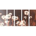 5-PIECE CANVAS PRINT COTTON GRASS - PICTURES OF NATURE AND LANDSCAPE - PICTURES