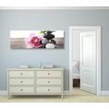 CANVAS PRINT HARMONIOUS STILL LIFE - PICTURES FENG SHUI - PICTURES