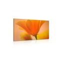 CANVAS PRINT BEAUTIFUL FLOWER - PICTURES FLOWERS - PICTURES