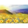 CANVAS PRINT FIELD FULL OF DAISIES - PICTURES OF NATURE AND LANDSCAPE - PICTURES