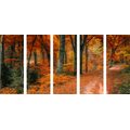 QUADRO IN 5 PARTI FORESTA IN AUTUNNO - QUADRI DI NATURA E PAESAGGIO - QUADRI