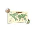 DECORATIVE PINBOARD ORIGINAL WORLD MAP - PICTURES ON CORK - PICTURES