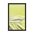 POSTER PALM LEAF - NATURE - POSTERS