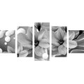 5-PIECE CANVAS PRINT BLACK AND WHITE MAGNOLIA ON AN ABSTRACT BACKGROUND - BLACK AND WHITE PICTURES - PICTURES