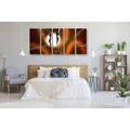5-PIECE CANVAS PRINT ETHNO LOVE - ABSTRACT PICTURES{% if product.category.pathNames[0] != product.category.name %} - PICTURES{% endif %}