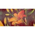 CANVAS PRINT ORANGE LILY BLOSSOM - PICTURES FLOWERS - PICTURES