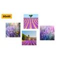 CANVAS PRINT SET LAVENDER BEAUTY - SET OF PICTURES - PICTURES