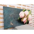 TABLEAU SUR TOILE – TULIPES ROSE PASTEL - TABLEAUX DE FLEURS - TABLEAUX