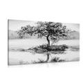 CANVAS PRINT ORIENTAL CHERRY IN BLACK AND WHITE - BLACK AND WHITE PICTURES - PICTURES