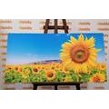 WANDBILD FELD MIT SONNENBLUMEN - BILDER BLUMEN - BILDER