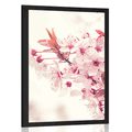 POSTER PINK CHERRY BLOSSOMS - FLOWERS - POSTERS