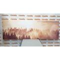 CANVAS PRINT FOG OVER THE FOREST - PICTURES OF NATURE AND LANDSCAPE - PICTURES