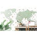 WALLPAPER GREEN MAP - WALLPAPERS - 🔥 TOTAL SALE 🔥