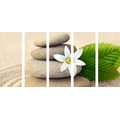 5-PIECE CANVAS PRINT WHITE FLOWER AND STONES IN SAND - PICTURES FENG SHUI - PICTURES