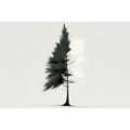 CANVAS PRINT MINIMALIST CONIFEROUS TREE - PICTURES OF TREES AND LEAVES - PICTURES