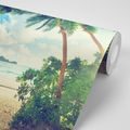 SELF ADHESIVE WALL MURAL SUNSET ON THE ISLAND OF SEYCHELLES - SELF-ADHESIVE WALLPAPERS - WALLPAPERS