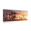 CANVAS PRINT GRASS BLADES ON A FIELD - PICTURES OF NATURE AND LANDSCAPE - PICTURES
