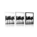 POSTER SUNSET OVER PALM TREES IN BLACK AND WHITE - BLACK AND WHITE - POSTERS