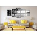 5-PIECE CANVAS PRINT SUNSET OVER THE LAKE IN BLACK AND WHITE - BLACK AND WHITE PICTURES - PICTURES