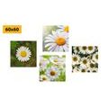 CANVAS PRINT SET MAGICAL FLOWERS - SET OF PICTURES - PICTURES