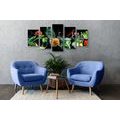 5-PIECE CANVAS PRINT ORGANIC FRUITS AND VEGETABLES - PICTURES OF FOOD AND DRINKS - PICTURES