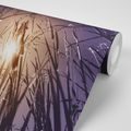 WALL MURAL FIELD GRASS - WALLPAPERS NATURE - WALLPAPERS