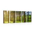 5-PIECE CANVAS PRINT SUNNY MORNING IN THE FOREST - PICTURES OF NATURE AND LANDSCAPE - PICTURES