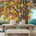 SELF ADHESIVE WALLPAPER PAINTED TREES IN AUTUMN COLORS - SELF-ADHESIVE WALLPAPERS - WALLPAPERS