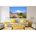 CANVAS PRINT FUJI VOLCANO - PICTURES OF NATURE AND LANDSCAPE - PICTURES