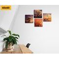 CANVAS PRINT SET CHARMING NATURE - SET OF PICTURES - PICTURES