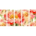 5-PIECE CANVAS PRINT RED PEONIES - PICTURES FLOWERS - PICTURES