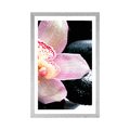 POSTER – ORCHIDEA ESOTICA - FENG SHUI - POSTER