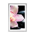 POSTER MIT PASSEPARTOUT EXOTISCHE ORCHIDEE - FENG SHUI - POSTER