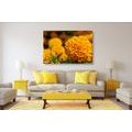 CANVAS PRINT AZTEC MARIGOLD - PICTURES FLOWERS - PICTURES