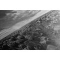 CANVAS PRINT SUNRISE OVER A MEADOW WITH TULIPS IN BLACK AND WHITE - BLACK AND WHITE PICTURES - PICTURES