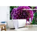 WALL MURAL BEAUTIFUL PURPLE FLOWER - WALLPAPERS FLOWERS - WALLPAPERS