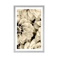 POSTER WITH MOUNT DAHLIA FLOWERS IN SEPIA DESIGN - BLACK AND WHITE - POSTERS