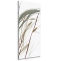WANDBILD WEHENDE GRASHALME - BILDER VON GRASHALMEN - BILDER