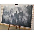 CANVAS PRINT MOUNTAINS IN THE FOG IN BLACK AND WHITE - BLACK AND WHITE PICTURES - PICTURES