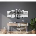 5-PIECE CANVAS PRINT ORIENTAL CHERRY IN BLACK AND WHITE - BLACK AND WHITE PICTURES - PICTURES