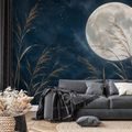 ZELFKLEVEND FOTOBEHANG GOUDEN MAAN EN SIERGRASSEN AAN BLAUWE HEMEL - FOTOBEHANG RUIMTE EN STERREN - FOTOBEHANG