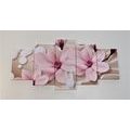 5-PIECE CANVAS PRINT MAGNOLIA ON AN ABSTRACT BACKGROUND - PICTURES FLOWERS - PICTURES