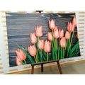 CANVAS PRINT CHARMING ORANGE TULIPS ON A WOODEN BACKGROUND - PICTURES FLOWERS{% if product.category.pathNames[0] != product.category.name %} - PICTURES{% endif %}